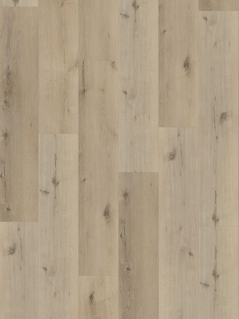 Klebe-Vinyl CHECK expert 2045E Hellweg Eiche Breitdiele Premium