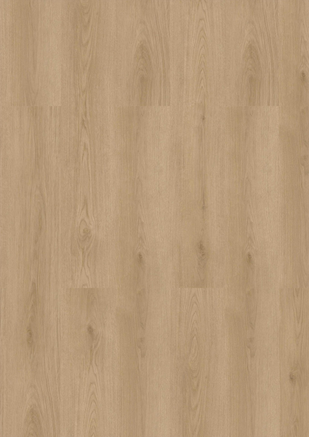 Click-Vinyl CHECK One 2482 Wees Eiche inkl. Trittschall Standard Breit + Langdiele