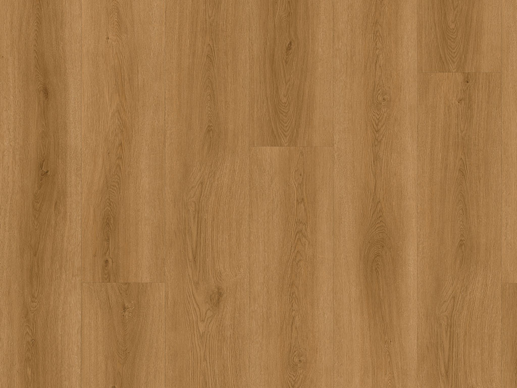 Click-Vinyl CHECK comfort 2511 Albera Eiche Lang- und Breitdiele inkl. Trittschall (Kork)