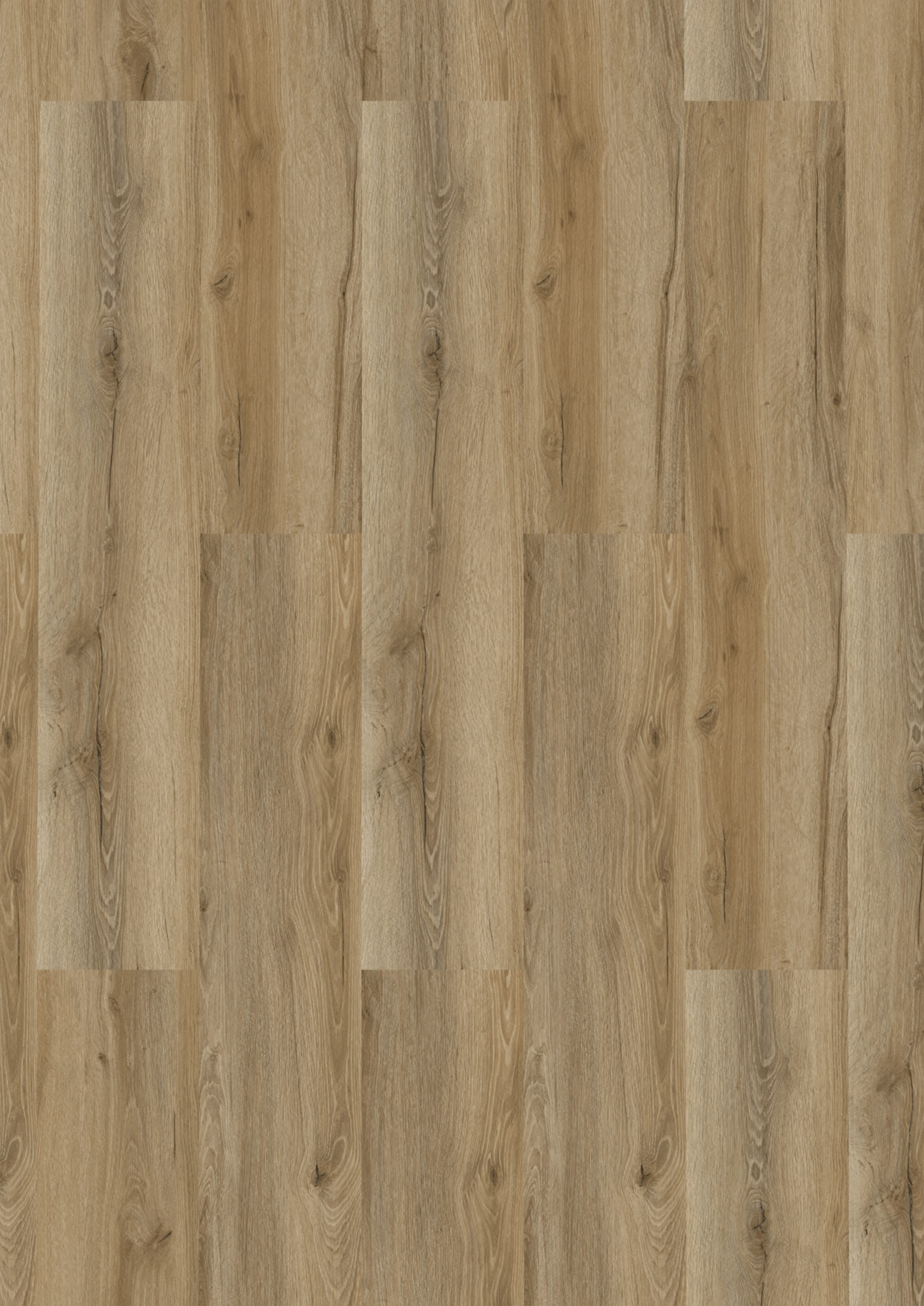 vinyl_6003_silvaeiche_roh_v_frontal