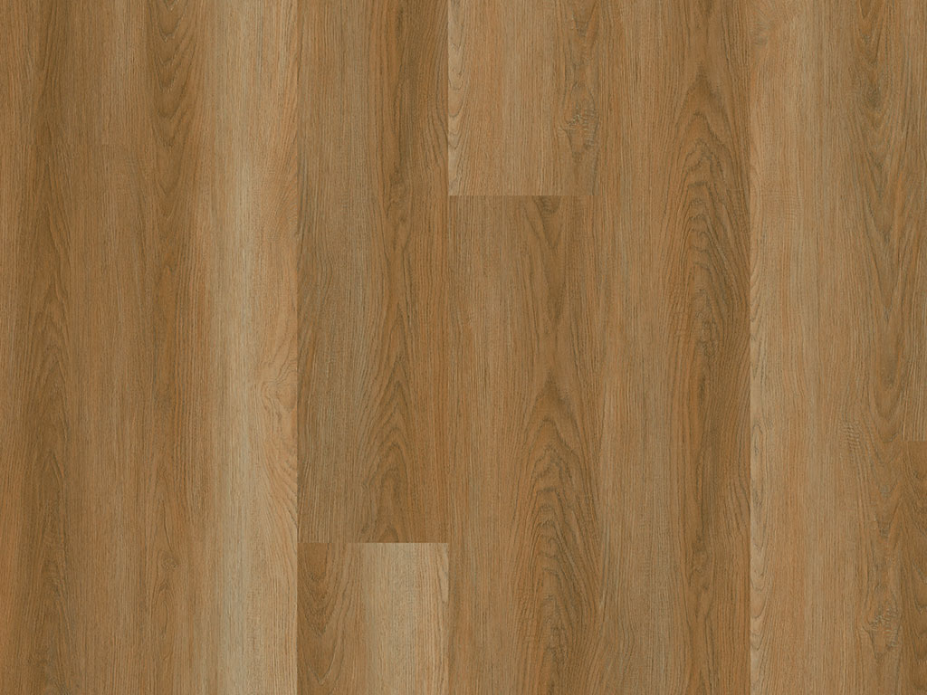 Click-Vinyl CHECK comfort 2510 Benavente Eiche Lang- und Breitdiele inkl. Trittschall (Kork)